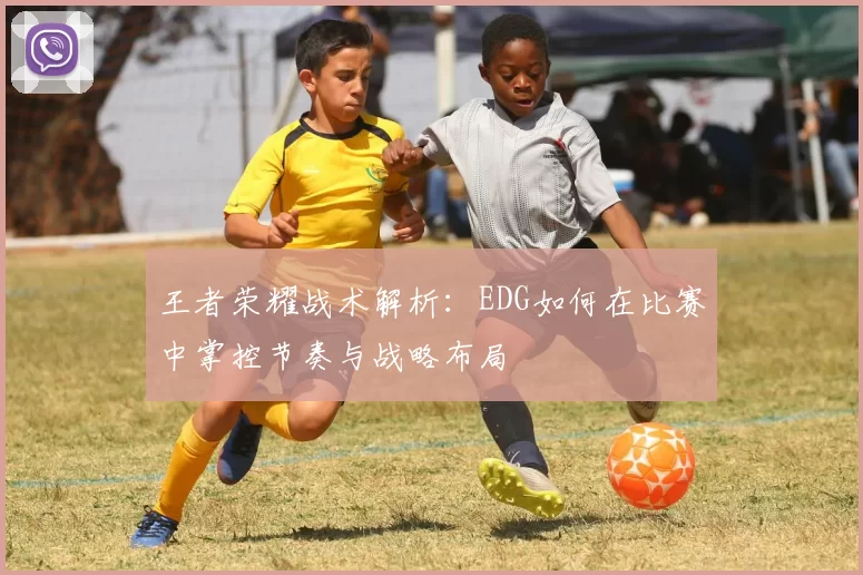 王者荣耀战术解析：EDG如何在比赛中掌控节奏与战略布局