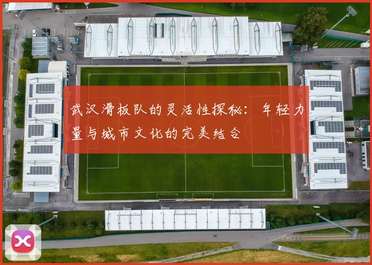 武汉滑板队的灵活性探秘：年轻力量与城市文化的完美结合