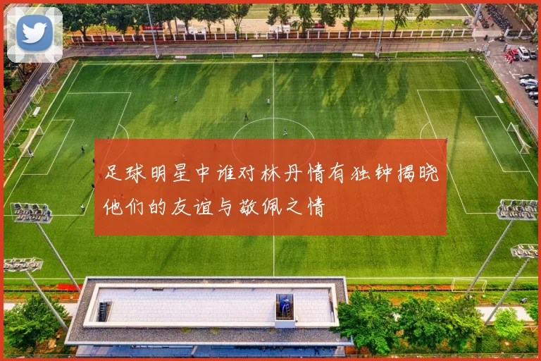 足球明星中谁对林丹情有独钟揭晓他们的友谊与敬佩之情