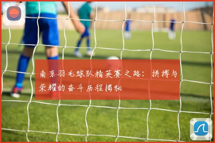 南京羽毛球队精英赛之路：拼搏与荣耀的奋斗历程揭秘