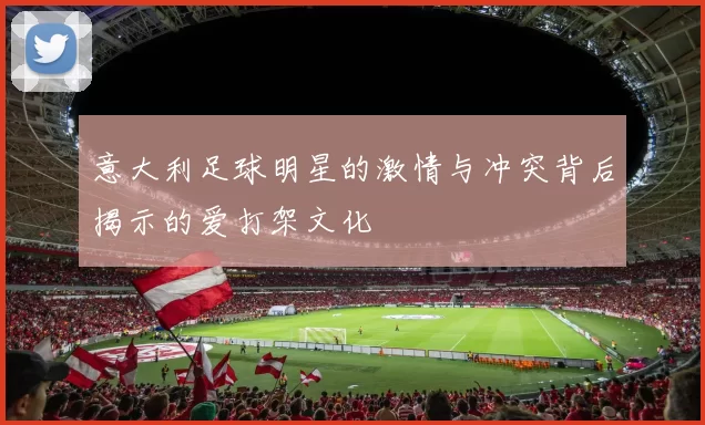 意大利足球明星的激情与冲突背后揭示的爱打架文化