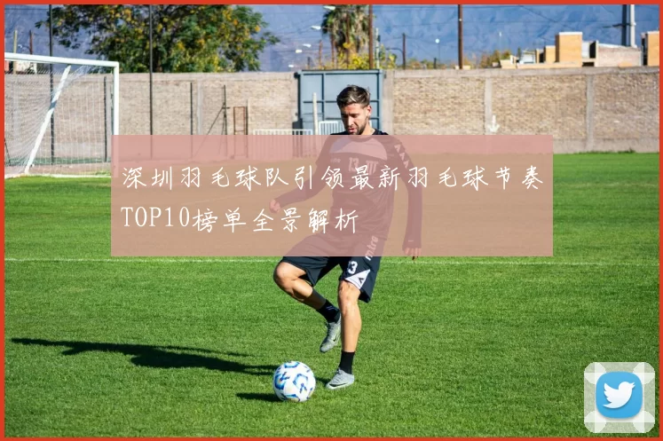 深圳羽毛球队引领最新羽毛球节奏TOP10榜单全景解析