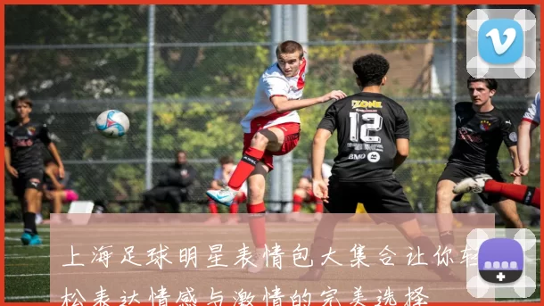 上海足球明星表情包大集合让你轻松表达情感与激情的完美选择