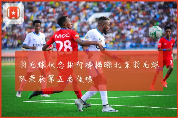 羽毛球状态排行榜揭晓北京羽毛球队荣获第五名佳绩