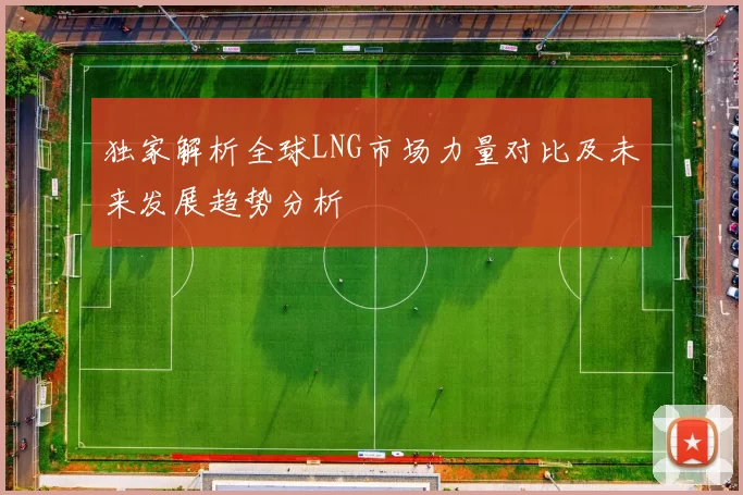 独家解析全球LNG市场力量对比及未来发展趋势分析